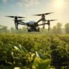 Future Trends in Nigerian Agro-commerce What Farmers Should Watch For in the Next Five Years