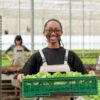 How to Start an Agro-Ecommerce Site in Nigeria with Little Money